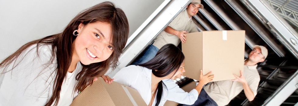 Professional Removalists Cooma North